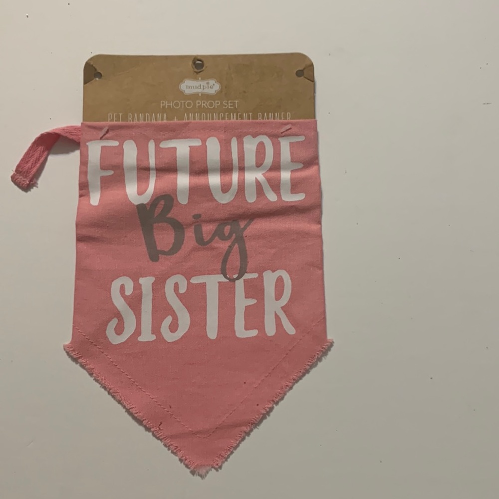 Mud Pie photo prop Pet Bandana Future Big Sister